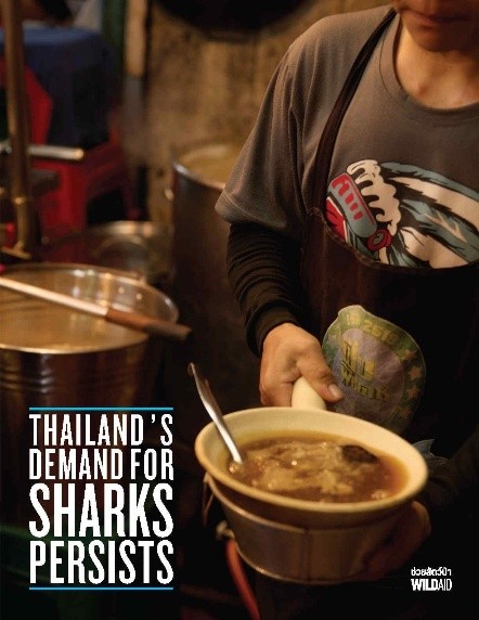 Thailand’s Demand for Sharks Persists